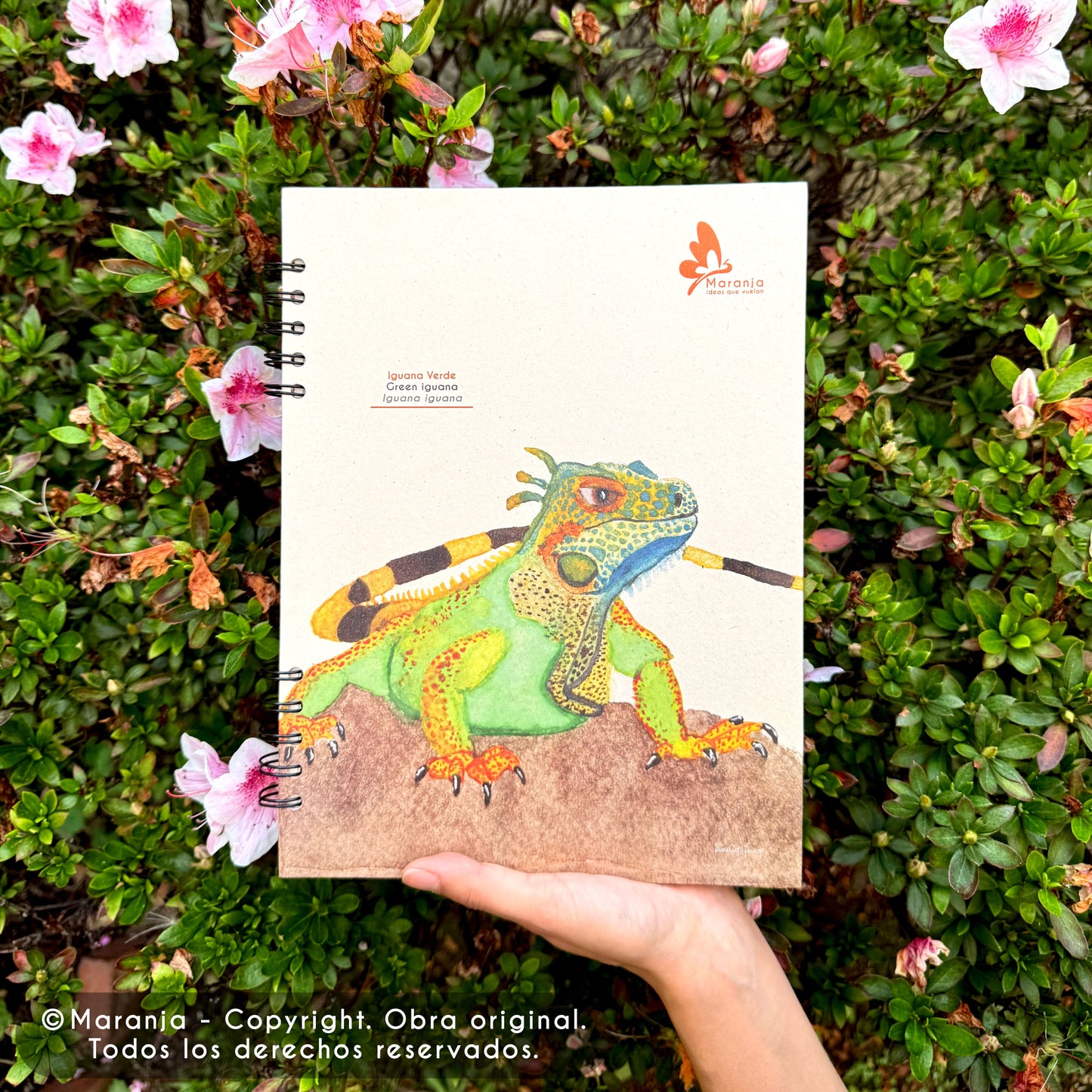 Cuaderno grande de Iguana + Papel plantable