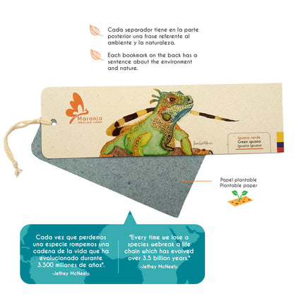 Separador de libros / Marcapáginas de Iguana