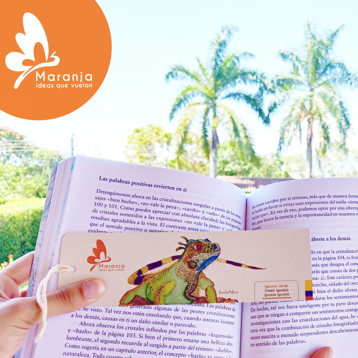 Separador de libros / Marcapáginas de Iguana
