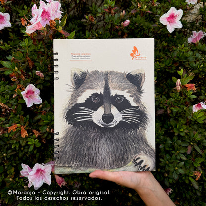 Cuaderno grande de Mapache + Papel plantable