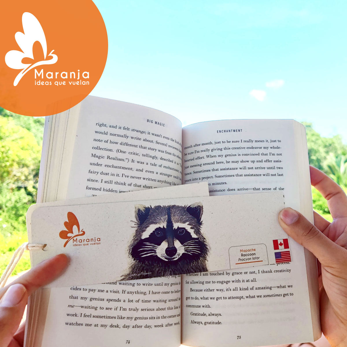 Separador de libros / Marcapáginas de Mapache