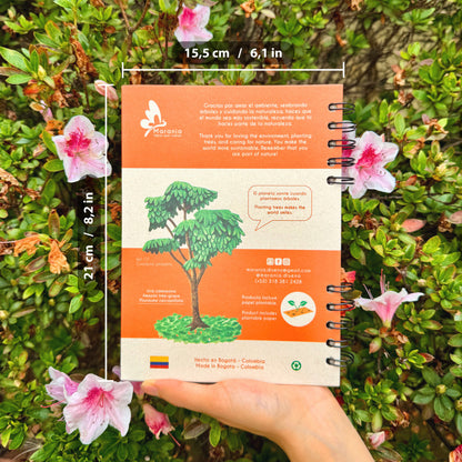 Cuaderno pequeño de Mapache + Papel plantable