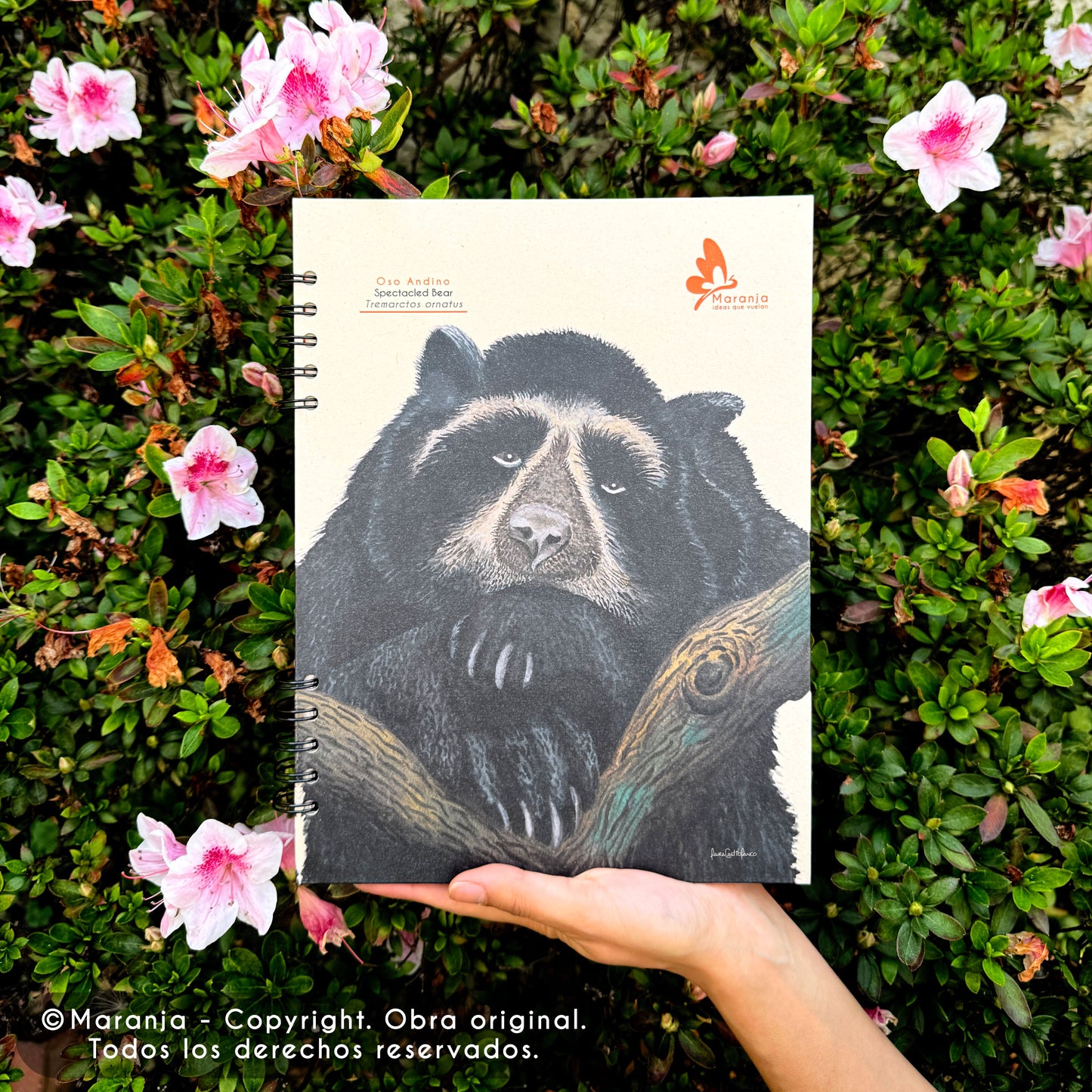 Cuaderno grande de Oso andino / anteojos + Papel plantable