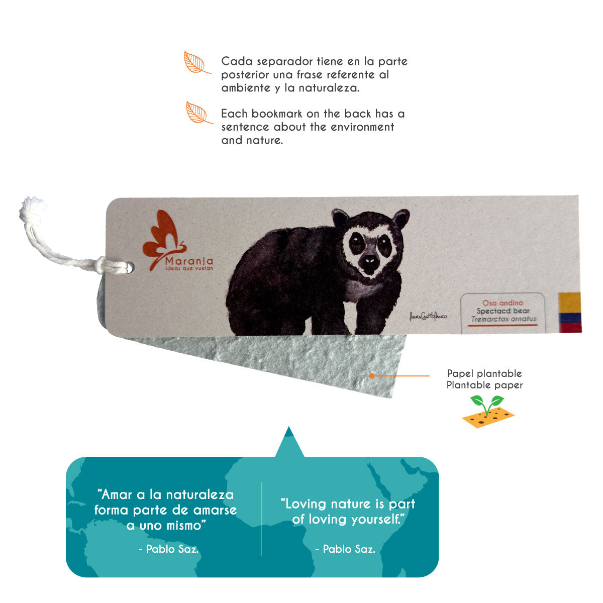 Separador de libros / Marcapáginas de Oso andino u Oso de anteojos
