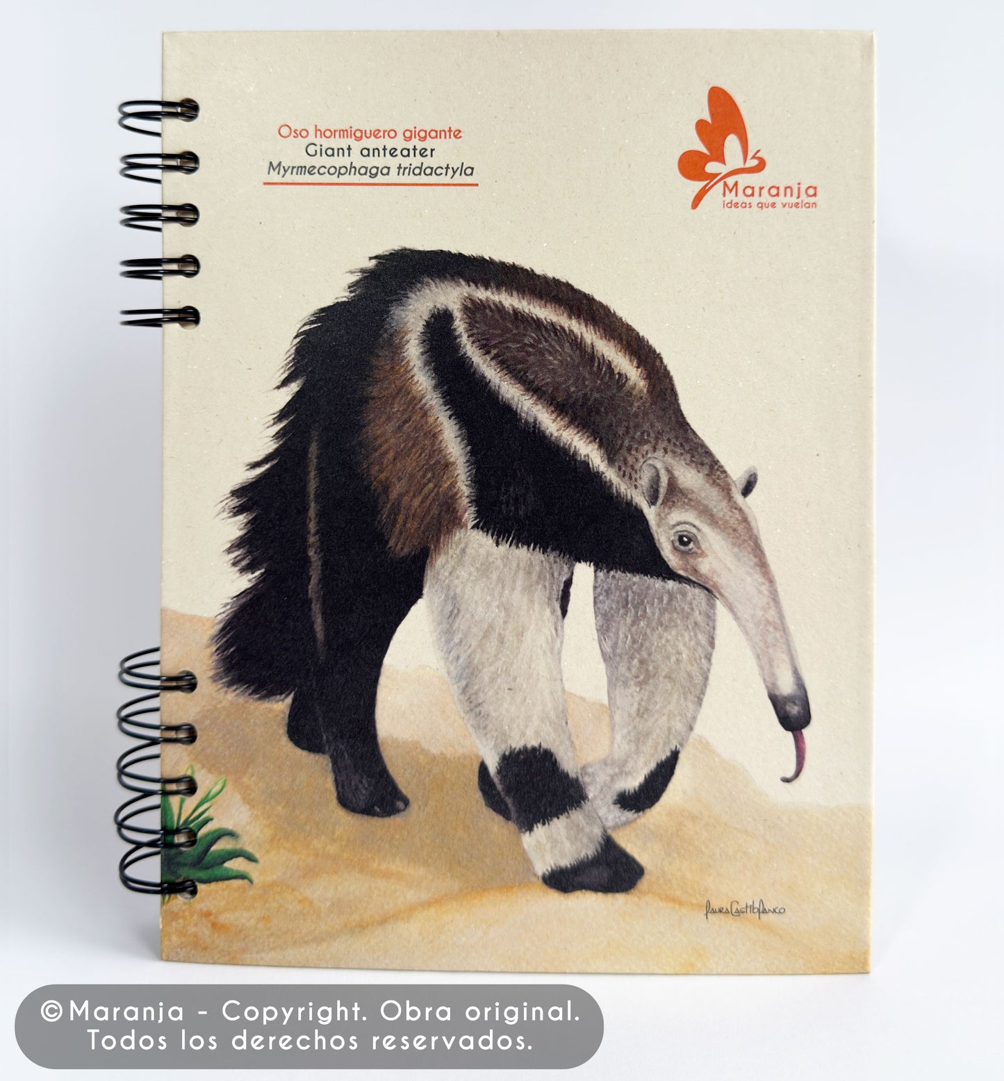 Agenda grande Oso hormiguero + Papel plantable