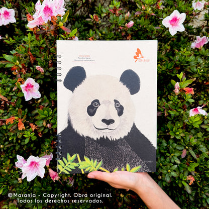 Cuaderno grande de Oso panda + Papel plantable