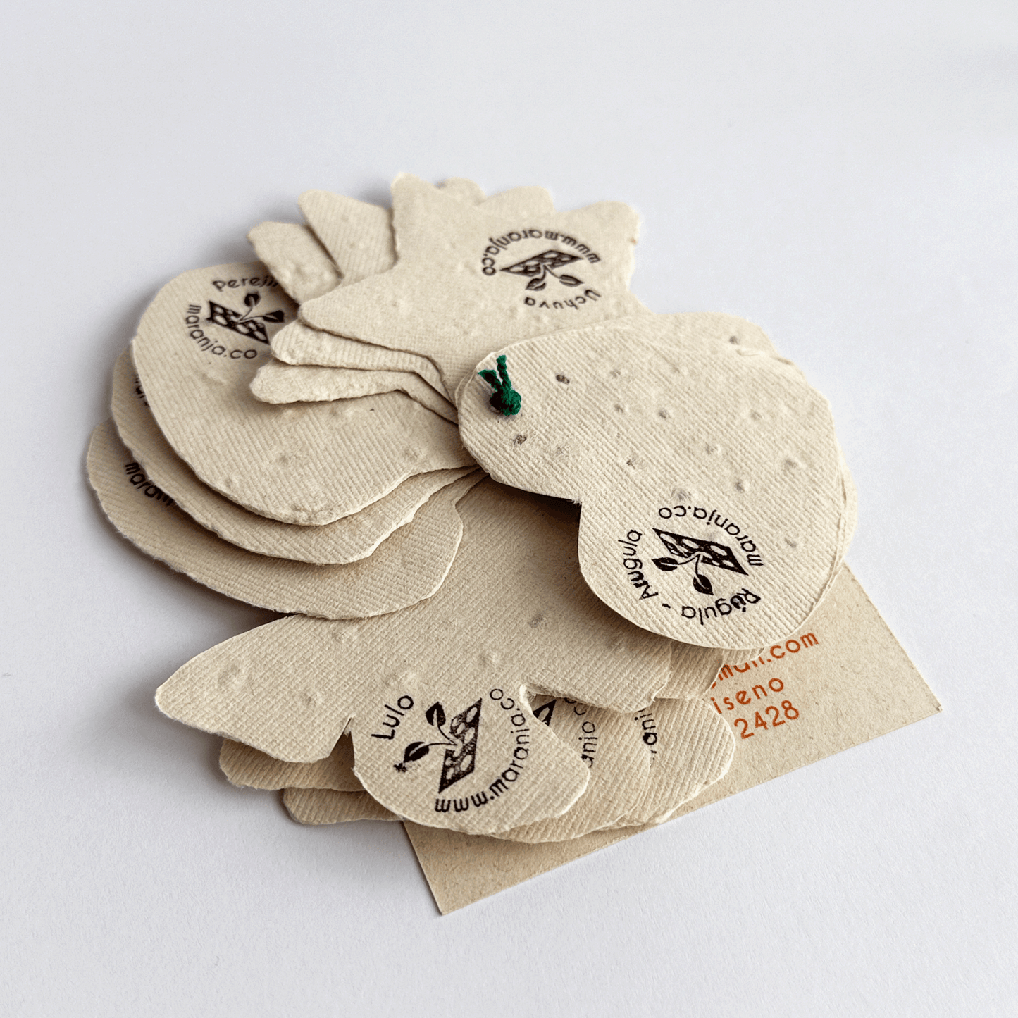 Papel plantable figuras x12 unds.