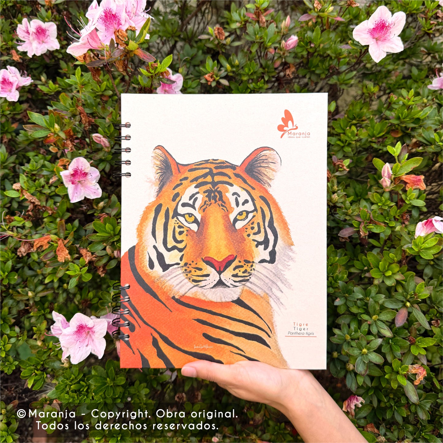Cuaderno grande de Tigre + Papel plantable