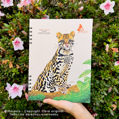 Cuaderno grande de Tigrillo + Papel plantable