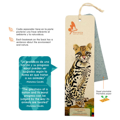 Separador de libros / Marcapáginas de Tigrillo Ocelote