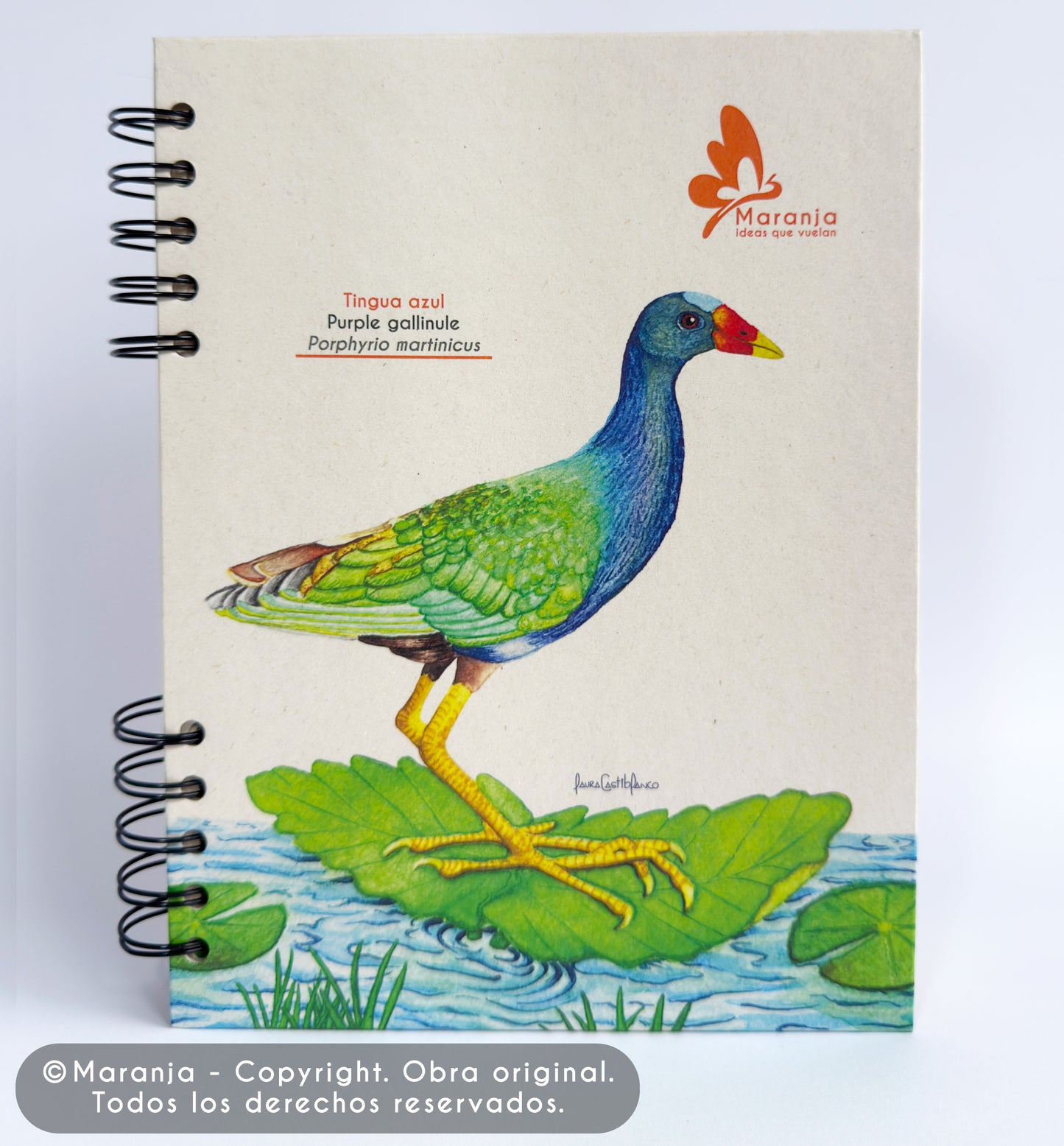 Agenda grande Tingua azul + Papel plantable