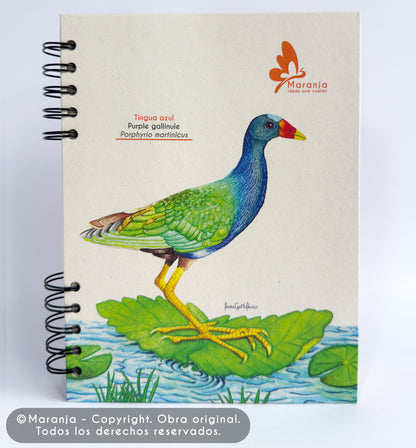 Agenda grande Tingua azul + Papel plantable