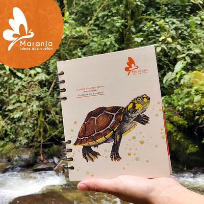 Agenda grande Tortuga charapa + Papel plantable