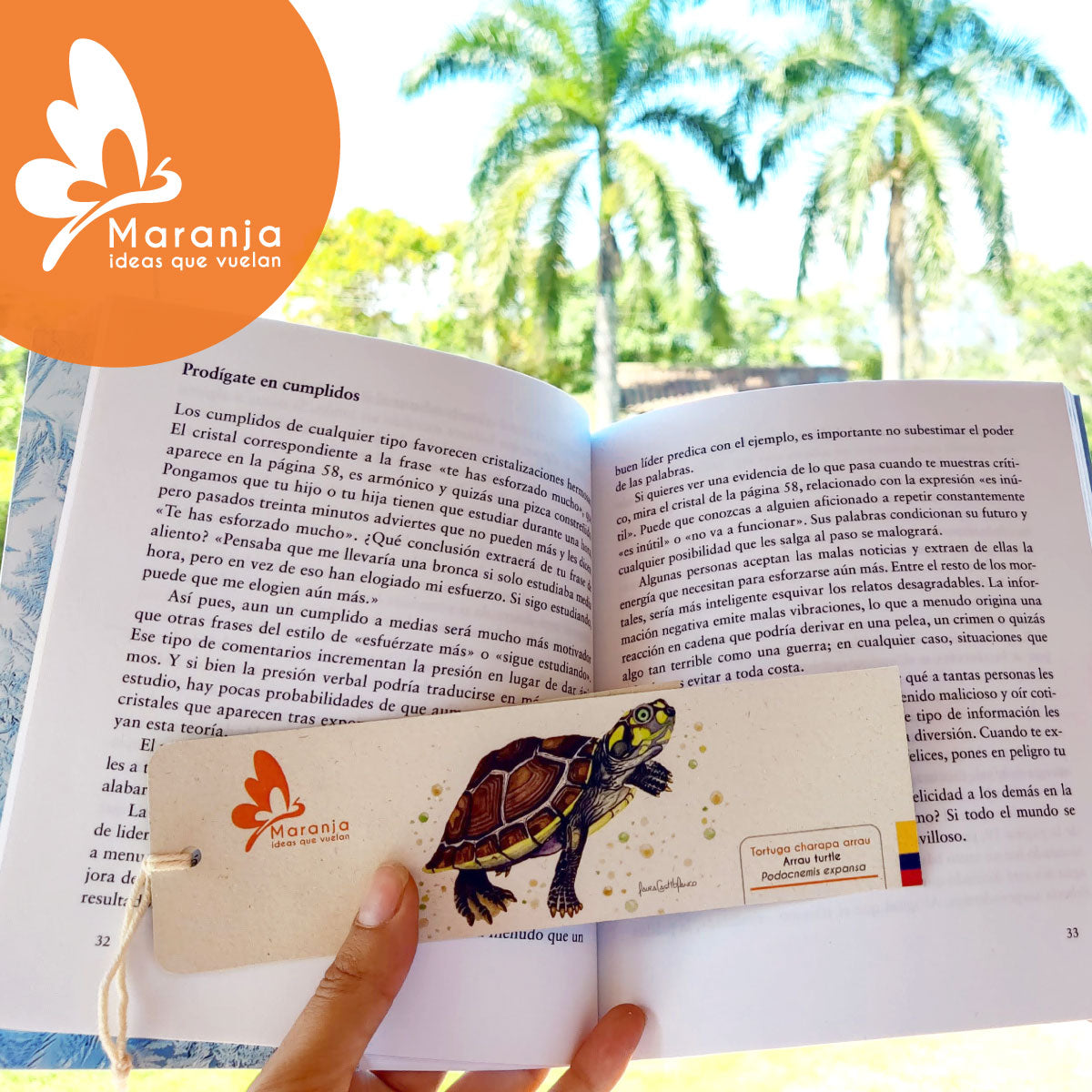 Separador de libros / Marcapáginas de Tortuga charapa