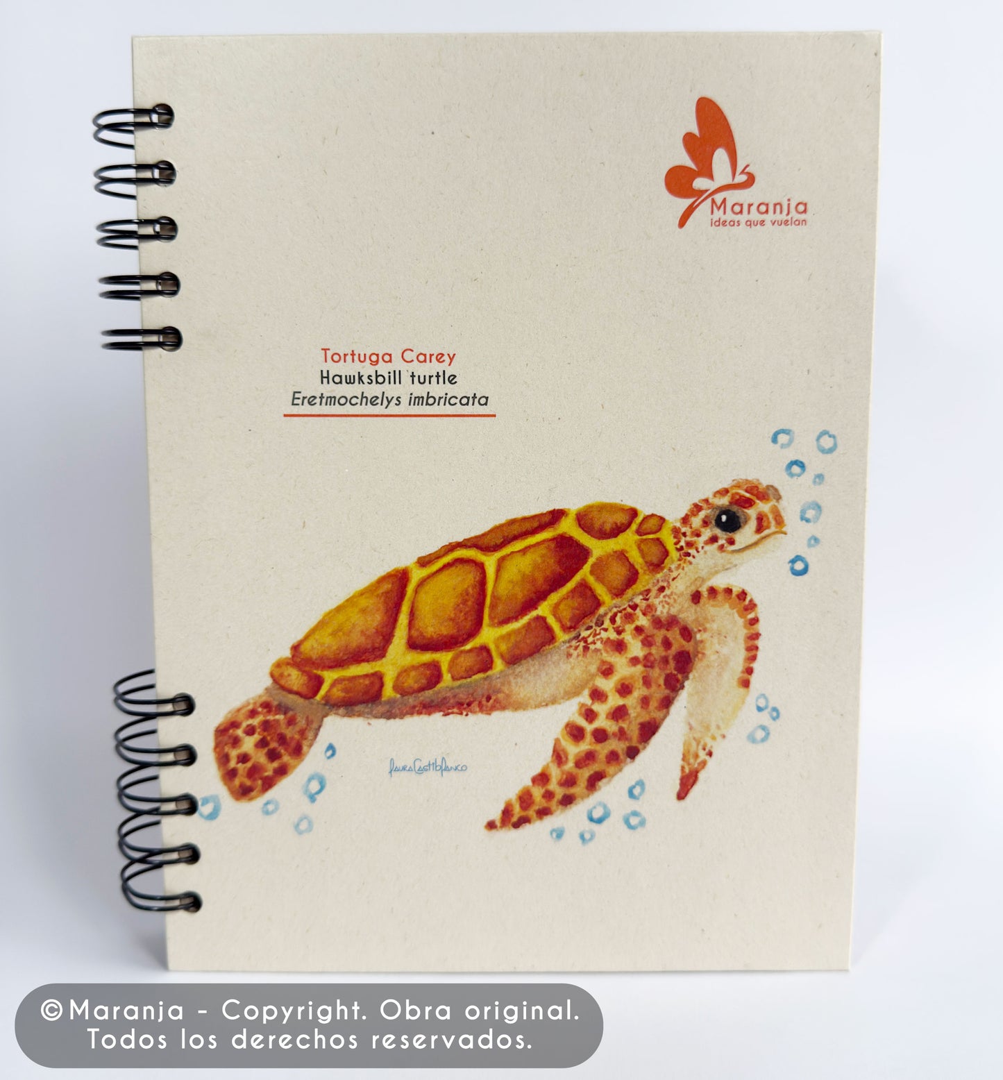 Agenda grande Tortuga carey + Papel plantable