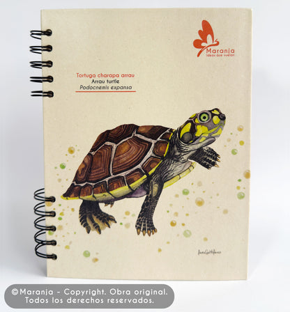 Agenda grande Tortuga charapa + Papel plantable