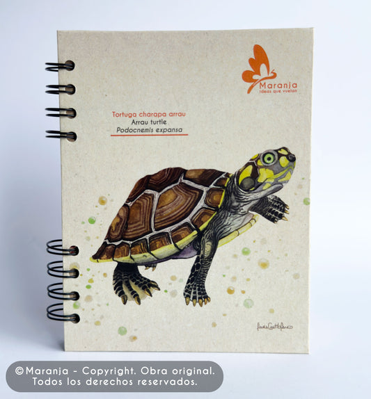 Agenda pequeña de Tortuga charapa + Papel plantable
