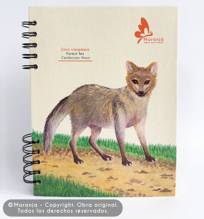 Agenda grande Zorro + Papel plantable